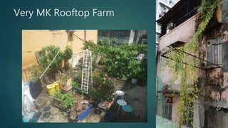 Very MK Rooftop Farm
 