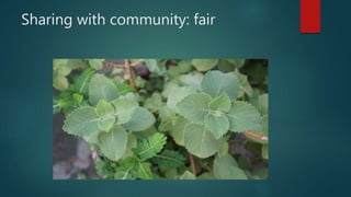 Sharing with community: fair
 