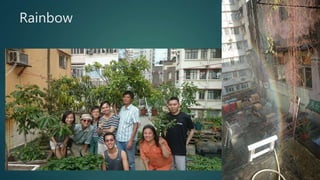 Rainbow
 
