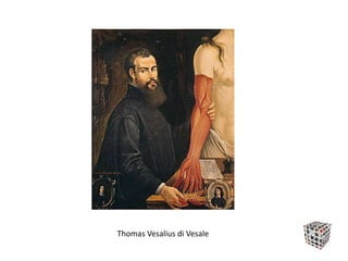 Thomas Vesalius di Vesale
 