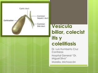 Vesícula
biliar, colecist
itis y
colelitiasis
Dr. Luis Humberto Cruz
Contreras
Hospital General “Dr.
Miguel Silva”
Morelia, Michoacán
 