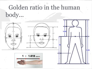 Golden ratio in the human
body...
 