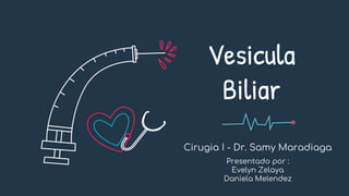 Vesicula
Biliar
Cirugia I - Dr. Samy Maradiaga
Presentado por :
Evelyn Zelaya
Daniela Melendez
 