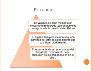 FISIOLOGÍA
La vesícula se llena mediante un
mecanismo retrogrado ,con un aumento
en ayunas de la presión del colédoco
El hígado solo produce una pequeña
cantidad del total de sales biliares que
se utilizan diariamente .
El espacio de disse: es una área del
hepatocito responsable de la
absorción de los componentes de la
bilis .
 