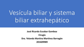 Vesícula biliar y sistema
biliar extrahepático
José Ricardo Escobar Gamboa
Cirugía
Dra. Yolanda Martina Martínez Barragán
201609989
 