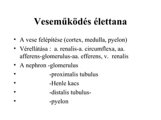 Veseműködés élettana
• A vese felépítése (cortex, medulla, pyelon)
• Vérellátása : a. renalis-a. circumflexa, aa.
afferens-glomerulus-aa. efferens, v. renalis
• A nephron -glomerulus
• -proximalis tubulus
• -Henle kacs
• -distalis tubulus-
• -pyelon
 