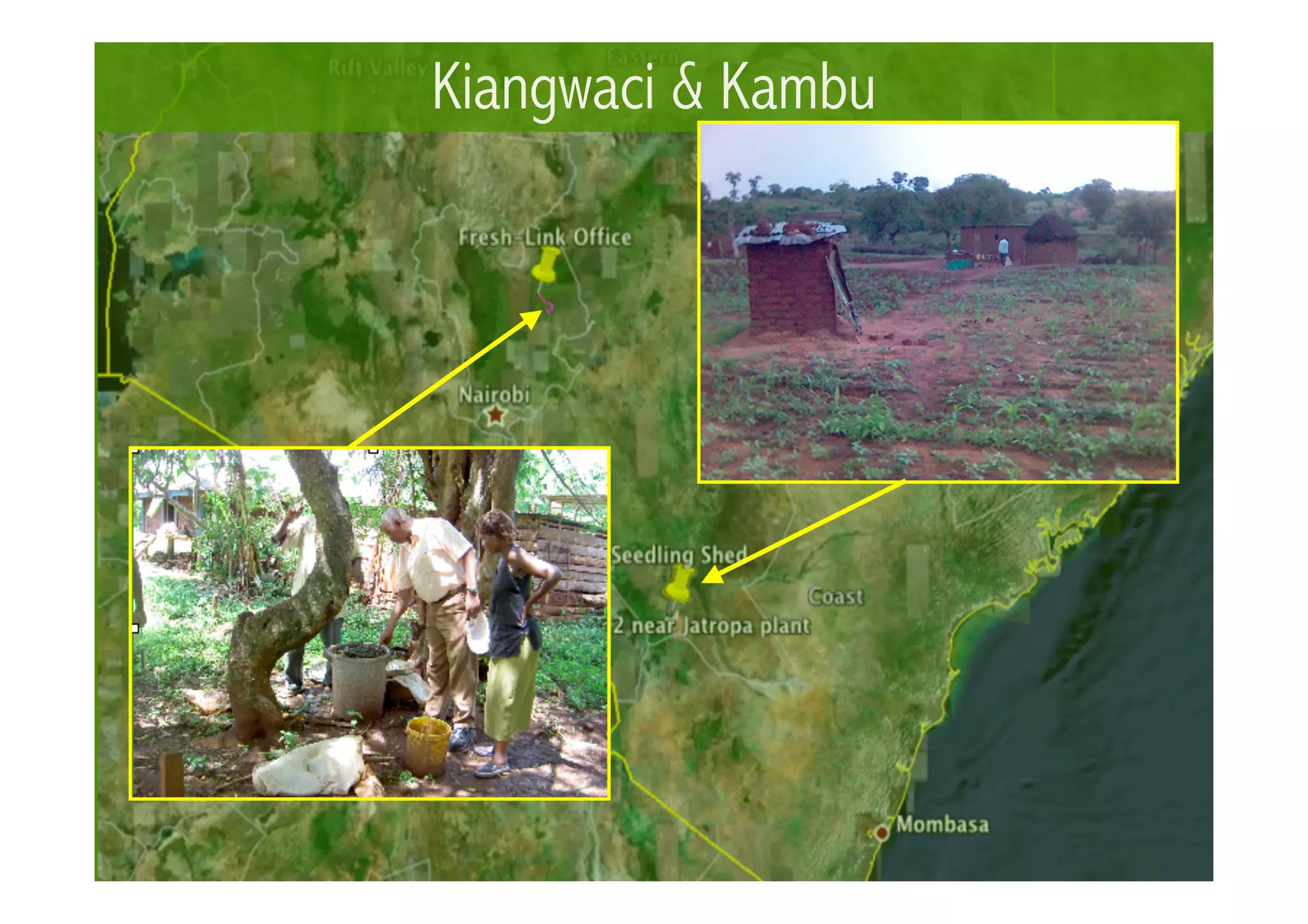 Communities & Communication in VeSeL