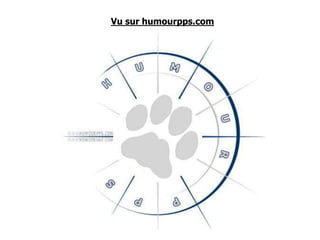 Vu sur humourpps.com 
