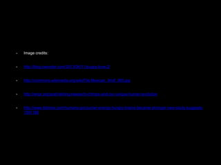 • Image credits:
• http://blog.cwonder.com/2013/06/11/puppy-love-2/
• http://commons.wikimedia.org/wiki/File:Mexican_Wolf_065.jpg
• http://wnpr.org/post/retiring-research-chimps-and-our-unique-human-evolution
• http://www.ibtimes.com/humans-got-punier-energy-hungry-brains-became-stronger-new-study-suggests-
1591186
 