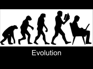 Evolution
 