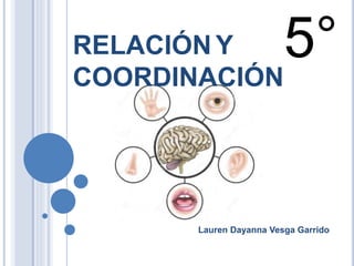 RELACIÓN Y
COORDINACIÓN
Lauren Dayanna Vesga Garrido
5°
 