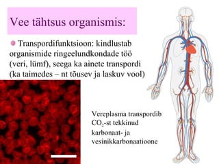 Vee tähtsus organismis:
Transpordifunktsioon: kindlustab
organismide ringeelundkondade töö
(veri, lümf), seega ka ainete transpordi
(ka taimedes – nt tõusev ja laskuv vool)
Vereplasma transpordib
CO2-st tekkinud
karbonaat- ja
vesinikkarbonaatioone
 