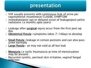  VVF usually presents with continouse leak of urine per
vaginum(true incontinece) CLASSIC SYMPTOM
 immediate(post op) or delayed onset of leakage(post pelvic
radiations i.e months upto years)
 Leakage after surgical injury occur from the first post op
day
 Obstetrical fistula=symptoms takes 7-14days to develop
 Small fistula=leakage in certain postions and can also pass
urine normally
 Large fistula= pt may not void at all but leak
 Menouria i.e cyclic heamaturia at time of menstruation
may be present
 Recurrent cystitis, perineal skin irritation, vaginal fungal
infection
presentation
 