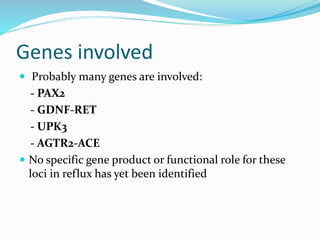 Genes involved
 Probably many genes are involved:
- PAX2
- GDNF-RET
- UPK3
- AGTR2-ACE
 No specific gene product or functional role for these
loci in reflux has yet been identified
 