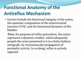 Functional Anatomy of the
Antireflux Mechanism
 Factors Include the functional integrity of the ureter,
the anatomic composition of the ureterovesical
junction (UVJ), and the functional dynamics of the
bladder.
First, for purposes of reflux prevention, the ureter
represents a dynamic conduit, which adequately
propels the urine presented to it in a bolus fashion,
antegrade, by neuromuscular propagation of
peristaltic activity. In so doing, reflux is actively
opposed.
 