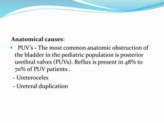 Anatomical causes:
 PUV’s - The most common anatomic obstruction of
the bladder in the pediatric population is posterior
urethral valves (PUVs). Reflux is present in 48% to
70% of PUV patients .
- Ureteroceles
- Ureteral duplication
 