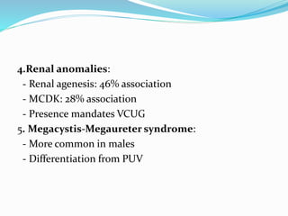 4.Renal anomalies:
- Renal agenesis: 46% association
- MCDK: 28% association
- Presence mandates VCUG
5. Megacystis-Megaureter syndrome:
- More common in males
- Differentiation from PUV
 