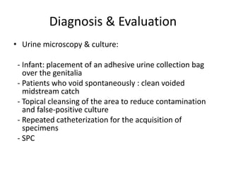 Diagnosis & Evaluation
• Urine microscopy & culture:
- Infant: placement of an adhesive urine collection bag
over the genitalia
- Patients who void spontaneously : clean voided
midstream catch
- Topical cleansing of the area to reduce contamination
and false-positive culture
- Repeated catheterization for the acquisition of
specimens
- SPC
 