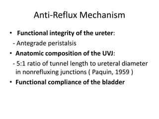 Anti-Reflux Mechanism
• Functional integrity of the ureter:
- Antegrade peristalsis
• Anatomic composition of the UVJ:
- 5:1 ratio of tunnel length to ureteral diameter
in nonrefluxing junctions ( Paquin, 1959 )
• Functional compliance of the bladder
 