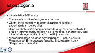 Etiopatogenia
• Litiasis biliar 90% casos.
• Factores determinantes: grado y duración
• Obstrucción parcial y de corta duración el paciente
experimenta un cólico biliar.
• Si es un obstrucción completa duradera, genera aumento de la
presión intravesicular, irritación de la mucosa, genera respuesta
inflamatoria aguda, disminución del flujo vascular.
• Microorganismos hallados comúnmente: E. coli, Klebsiella
Pneumoniae, Enterococcus faecalis, Enterobacter spp y
Streptococcus faecalis.
 