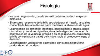 Fisiología
• No es un órgano vital, puede ser extirpada sin producir mayores
molestias.
• Sirve como reservorio de la bilis secretada por el hígado, la cual es
concentrada hasta la décima parte mediante la absorción de agua.
• La presencia de alimentos ingeridos, especialmente grasas, acido
clorhídrico y proteínas digeridas, durante la digestión producen la
contracción de la vesícula, gracias a su capa muscular, eliminando
la bilis concentrada a través del cístico hacia el colédoco y luego al
duodeno.
• La contracción vesicular es estimulada por la colecistoquinina,
producida en el duodeno.
 