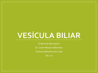 VESÍCULA BILIAR
Anatomía descriptiva
Dr. Javier ReyesValdovinos
Vanessa Mendoza De León
Sec. 07
 
