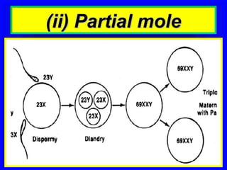 (ii) Partial mole
 