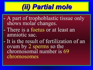(ii) Partial mole - A part of trophoblastic tissue only shows molar changes.  - There is a  foetus  or at least an amniotic sac. - It is the result of fertilization of an ovum by  2 sperms  so the chromosomal number is  69 chromosomes 