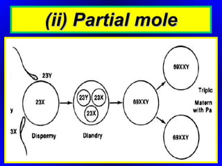(ii) Partial mole 