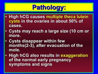 High hCG causes  multiple theca lutein cysts  in the ovaries in about 50% of cases. Cysts may reach a large size (10 cm or more. Cysts disappear within few months(2-3), after evacuation of the mole.  High hCG also results in  exaggeration  of the normal early pregnancy symptoms and signs Pathology: 