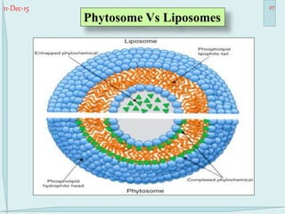 11-Dec-15 27
Phytosome Vs Liposomes
 