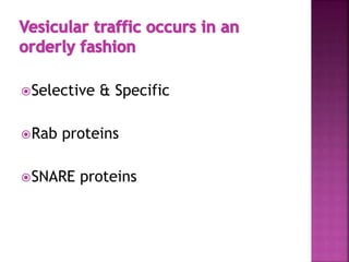 Selective & Specific
Rab proteins
SNARE proteins
 
