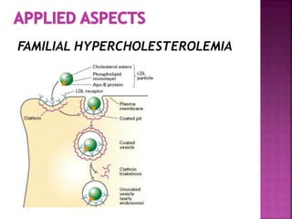 FAMILIAL HYPERCHOLESTEROLEMIA
 