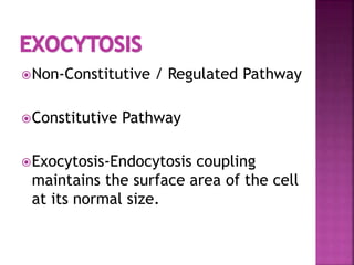 Non-Constitutive / Regulated Pathway
Constitutive Pathway
Exocytosis-Endocytosis coupling
maintains the surface area of the cell
at its normal size.
 