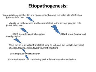 Etiopathogenesis:
Viruses replicates in the skin and mucous membrane at the initial site of infection
(primary infection)
Migrate up to the neuron and becomes latent in the sensory ganglion cells
(latent infection)
HSV-1 latent (trigeminal ganglion) HSV-2 latent (lumbar and
sacral ganglion)
Virus can be reactivated from latent state by inducers like sunlight, hormonal
changes, trauma, stress, fever(recurrent infection)
Virus migrate down the neuron
Virus replicates in the skin causing vesicle formation and other lesions.
 