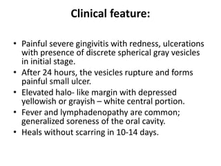 Clinical feature:
• Painful severe gingivitis with redness, ulcerations
with presence of discrete spherical gray vesicles
in initial stage.
• After 24 hours, the vesicles rupture and forms
painful small ulcer.
• Elevated halo- like margin with depressed
yellowish or grayish – white central portion.
• Fever and lymphadenopathy are common;
generalized soreness of the oral cavity.
• Heals without scarring in 10-14 days.
 