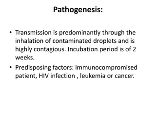 Pathogenesis:
• Transmission is predominantly through the
inhalation of contaminated droplets and is
highly contagious. Incubation period is of 2
weeks.
• Predisposing factors: immunocompromised
patient, HIV infection , leukemia or cancer.
 