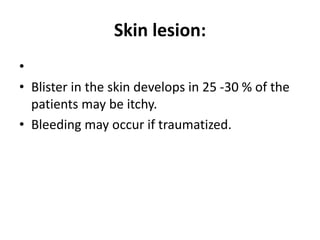 Skin lesion:
•
• Blister in the skin develops in 25 -30 % of the
patients may be itchy.
• Bleeding may occur if traumatized.
 