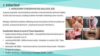 Comprehensive Clinical Insights into Vesiculobullous Lesions: Diagnosis ...