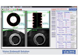Video Camera Based Optical Surface Inspection Measurement Sorting ...