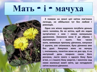 Різдво з колишньою