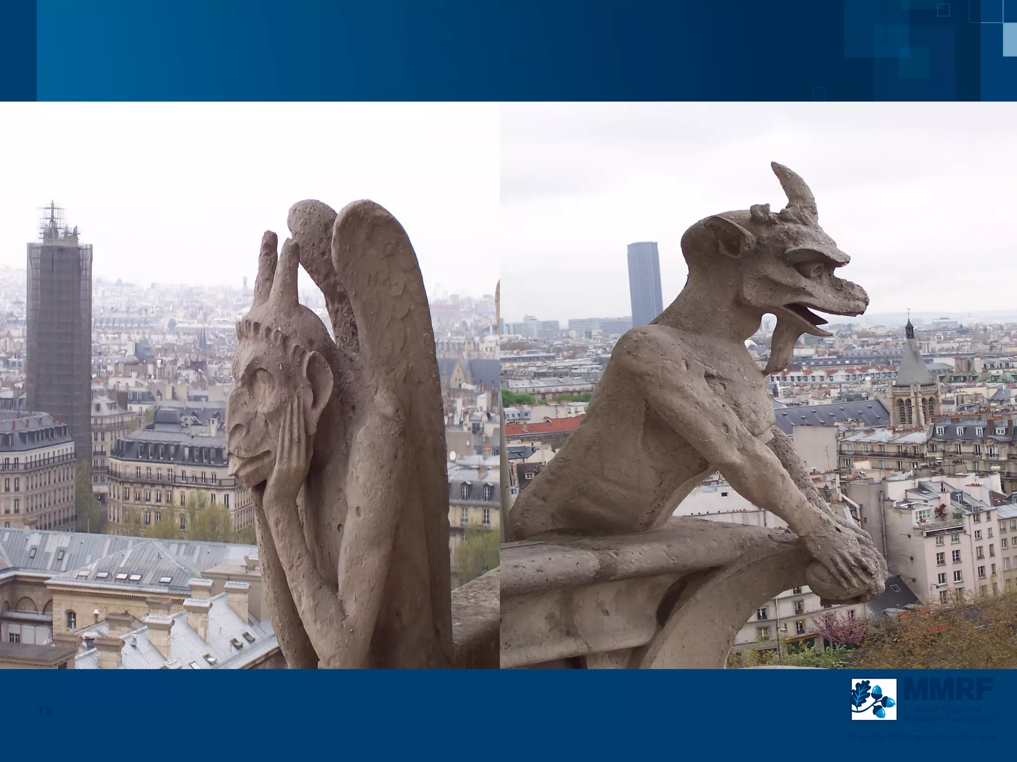 13               Multiple Myeloma
                 Research Foundation

     Powerful thinking advances the cure
 