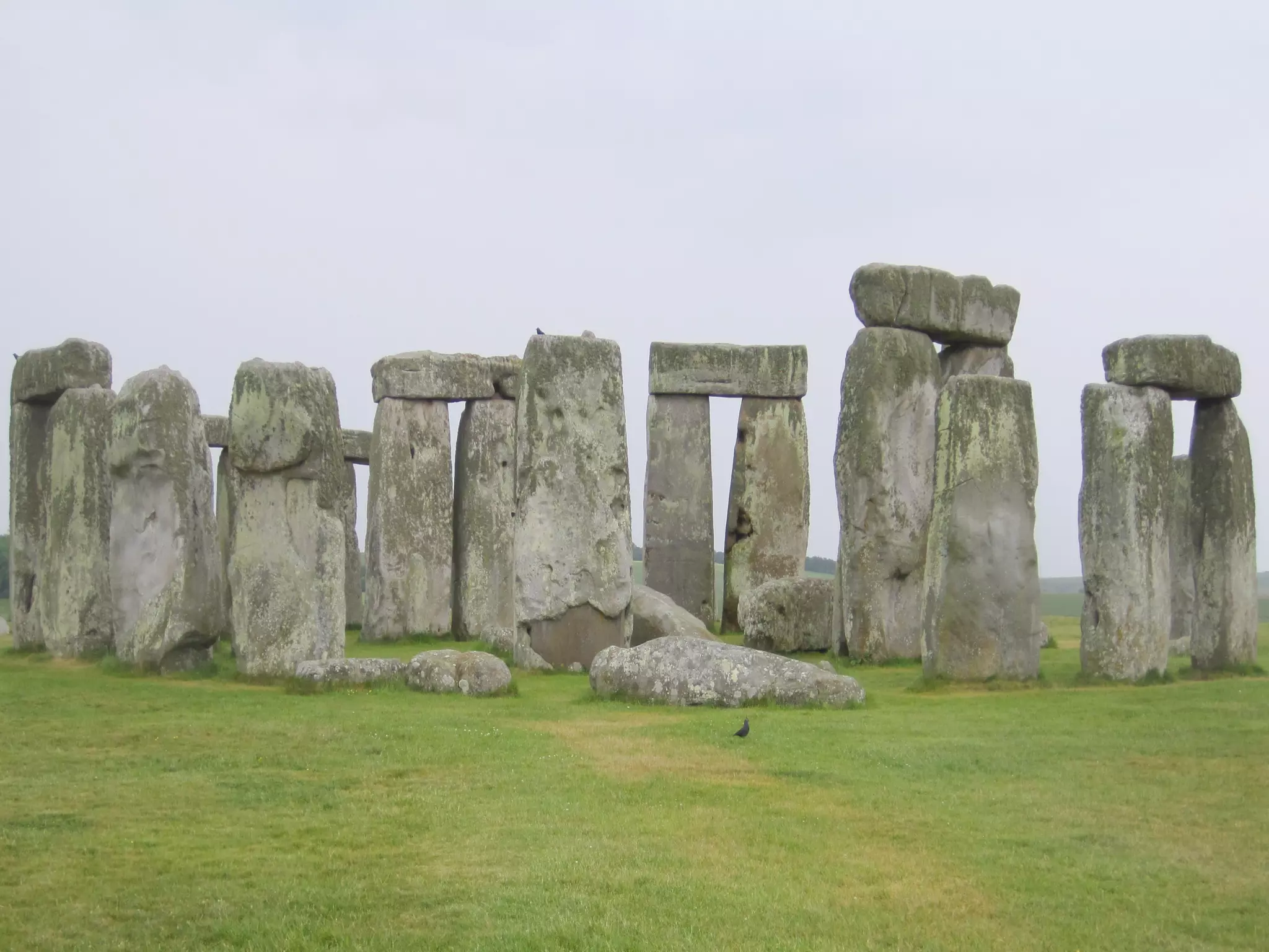 C:UsersDavidPicturesMy Pictures
     London 2011IMG_1279.JPG




26                                                     Multiple Myeloma
                                                       Research Foundation

                                           Powerful thinking advances the cure
 