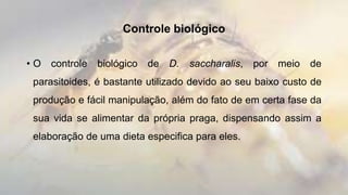 Controle biológico
• O controle biológico de D. saccharalis, por meio de
parasitoides, é bastante utilizado devido ao seu baixo custo de
produção e fácil manipulação, além do fato de em certa fase da
sua vida se alimentar da própria praga, dispensando assim a
elaboração de uma dieta especifica para eles.
 