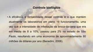 Controle biológico
• A eficiência e rentabilidade desse controle e o que mantém
atualmente os laboratórios em pleno 19 funcionamento, uma
vez que a intensidade de infestação da broca-da-cana que era
em media de 8 a 10%, passou para 2% no estado de São
Paulo, resultando em uma economia de aproximadamente 80
milhões de dólares por ano (Benedini, 2006).
 