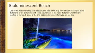 Bioluminescent Beach
One of the most interesting facts about Puerto Rico is that they have a beach on Vieques Island
that glows, or are bioluminescent. There are plankton in the water that glow when they are
touched or moved. It is one of the only places in the world where you can see this.
 