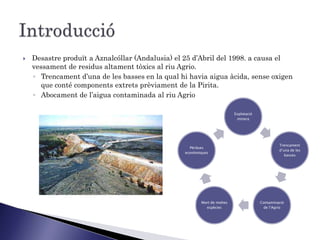    Desastre produït a Aznalcóllar (Andalusia) el 25 d’Abril del 1998. a causa el
    vessament de residus altament tòxics al riu Agrio.
    ◦ Trencament d’una de les basses en la qual hi havia aigua àcida, sense oxigen
      que conté components extrets prèviament de la Pirita.
    ◦ Abocament de l’aigua contaminada al riu Agrio

                                                                         Explotació
                                                                          minera




                                                                                               Trencament
                                                   Pèrdues
                                                                                               d’una de les
                                                 econòmiques
                                                                                                  basses




                                                        Mort de moltes                Contaminació
                                                          espècies                     de l’Agrio
 
