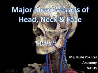 Maj Rishi Pokhrel
Anatomy
NAIHS
 