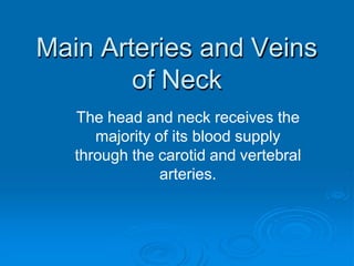 Main Arteries and Veins
of Neck
The head and neck receives the
majority of its blood supply
through the carotid and vertebral
arteries.
 