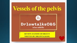 Vessels of the pelvis
REVIEW ANATOMY OF OBS/GYN
WRITTEN BY: DRLOWTALKSOG
 